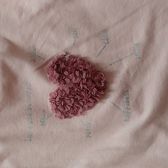 BCBGirl Outfit 2T - Picture 3 of 8